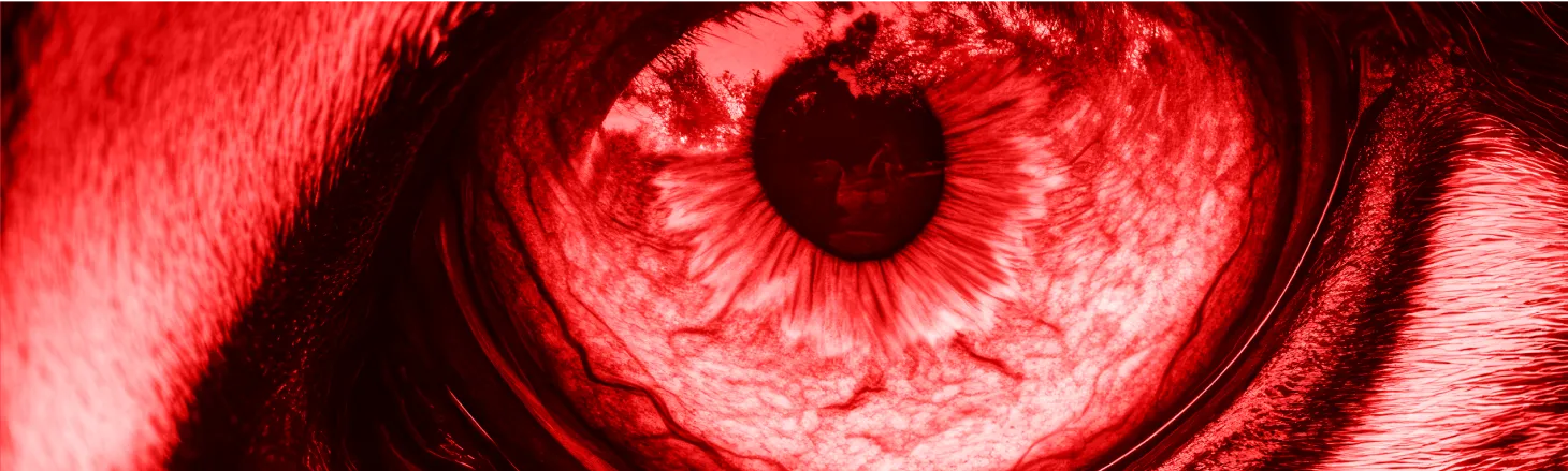 Red Eye